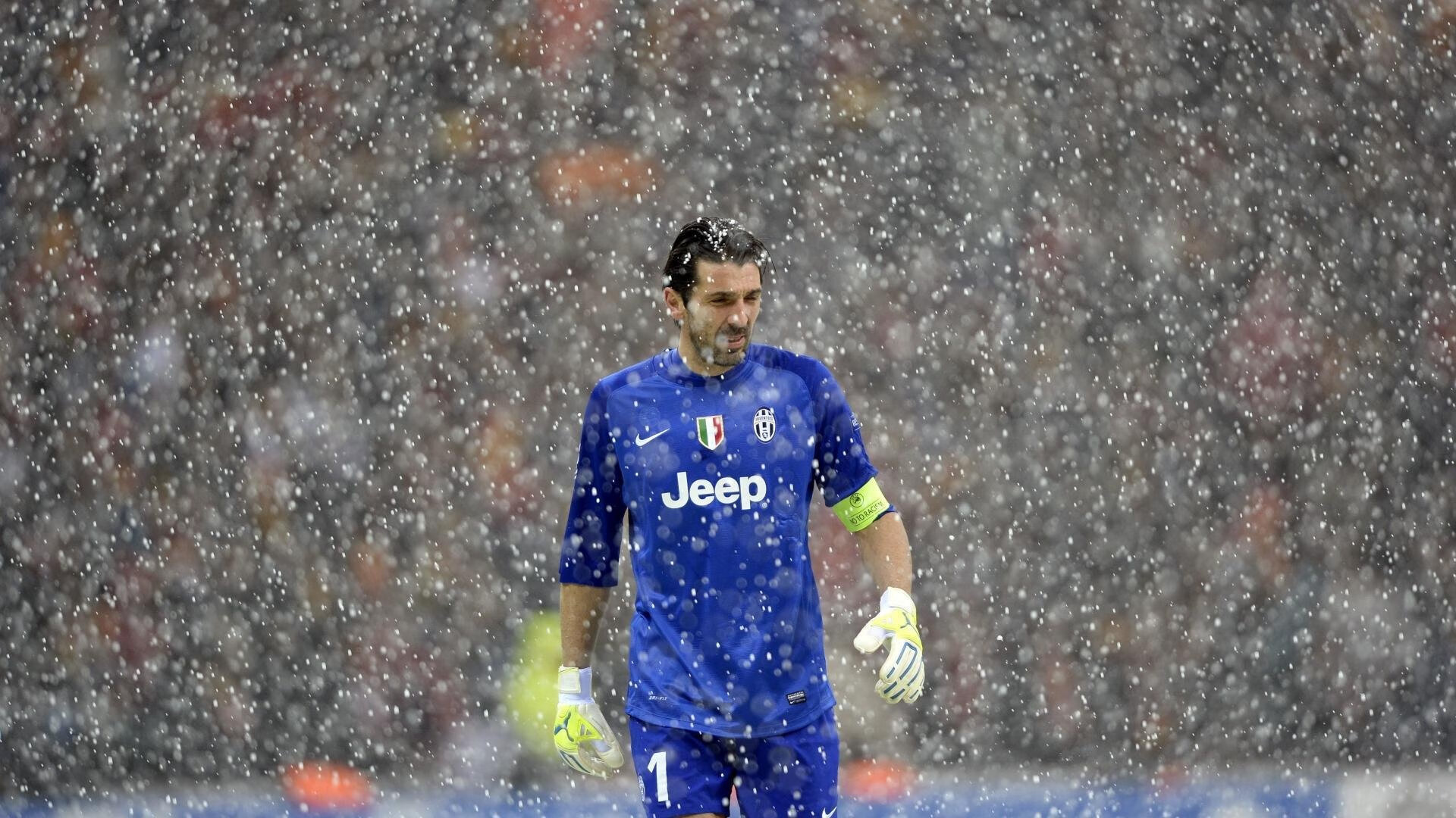 ky体育娱乐-中国跳水队全胜收官，陈芋汐十米台表现堪称完美，跳水冠军陈芋汐几岁